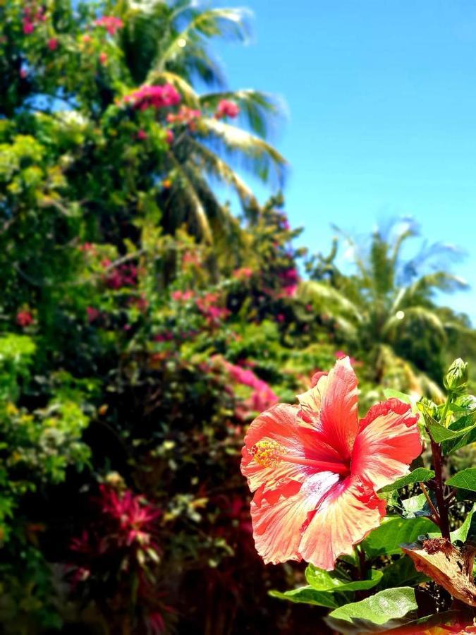 Gite 4 Etoiles, La Vieille Sucrerie St Claude Guadeloupe, Jacuzzi Spa Privatif, Vue Exceptionnelle Sur La Mer Des Caraibes 巴斯特尔 外观 照片