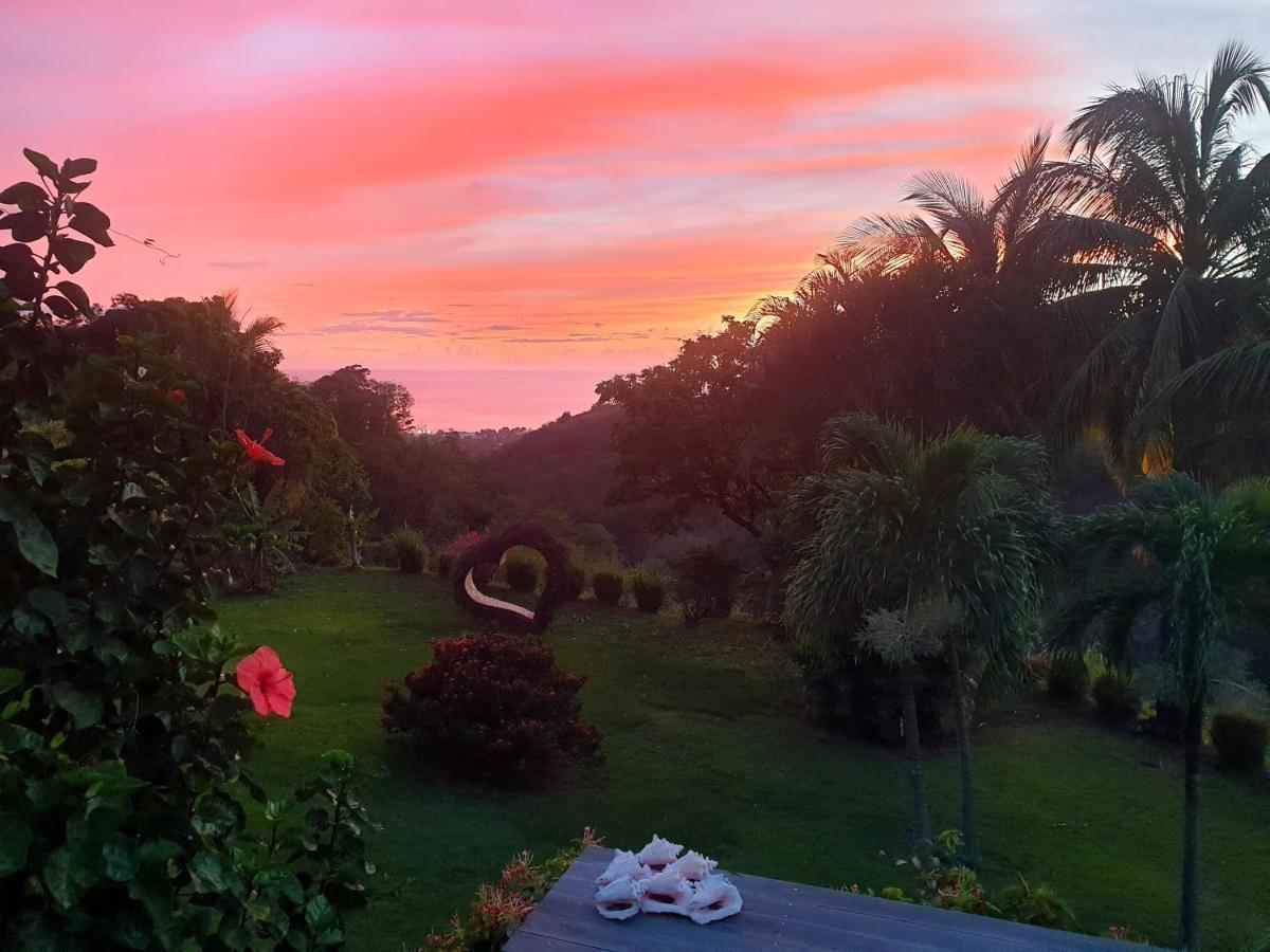Gite 4 Etoiles, La Vieille Sucrerie St Claude Guadeloupe, Jacuzzi Spa Privatif, Vue Exceptionnelle Sur La Mer Des Caraibes 巴斯特尔 外观 照片