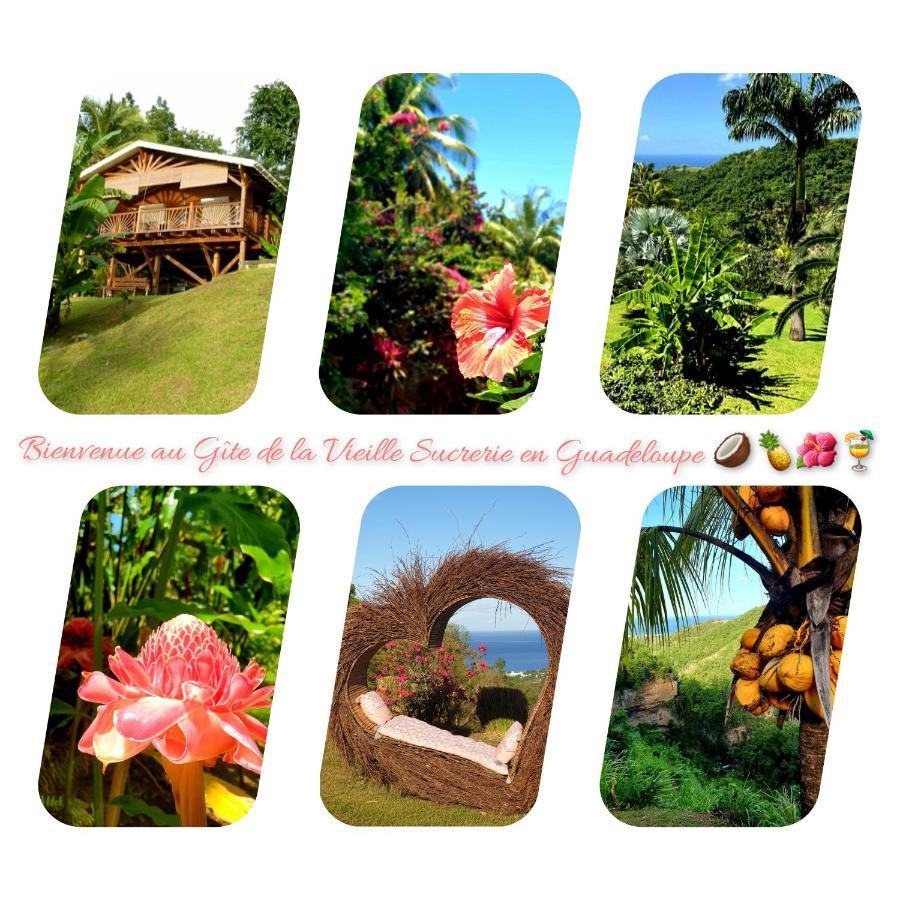 Gite 4 Etoiles, La Vieille Sucrerie St Claude Guadeloupe, Jacuzzi Spa Privatif, Vue Exceptionnelle Sur La Mer Des Caraibes 巴斯特尔 外观 照片