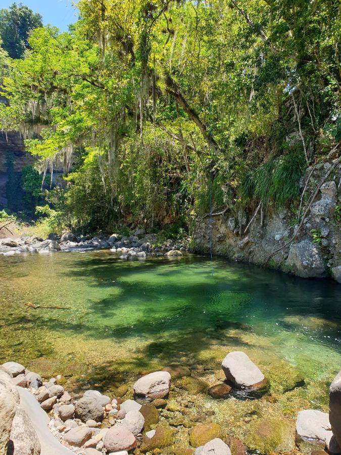 Gite 4 Etoiles, La Vieille Sucrerie St Claude Guadeloupe, Jacuzzi Spa Privatif, Vue Exceptionnelle Sur La Mer Des Caraibes 巴斯特尔 外观 照片