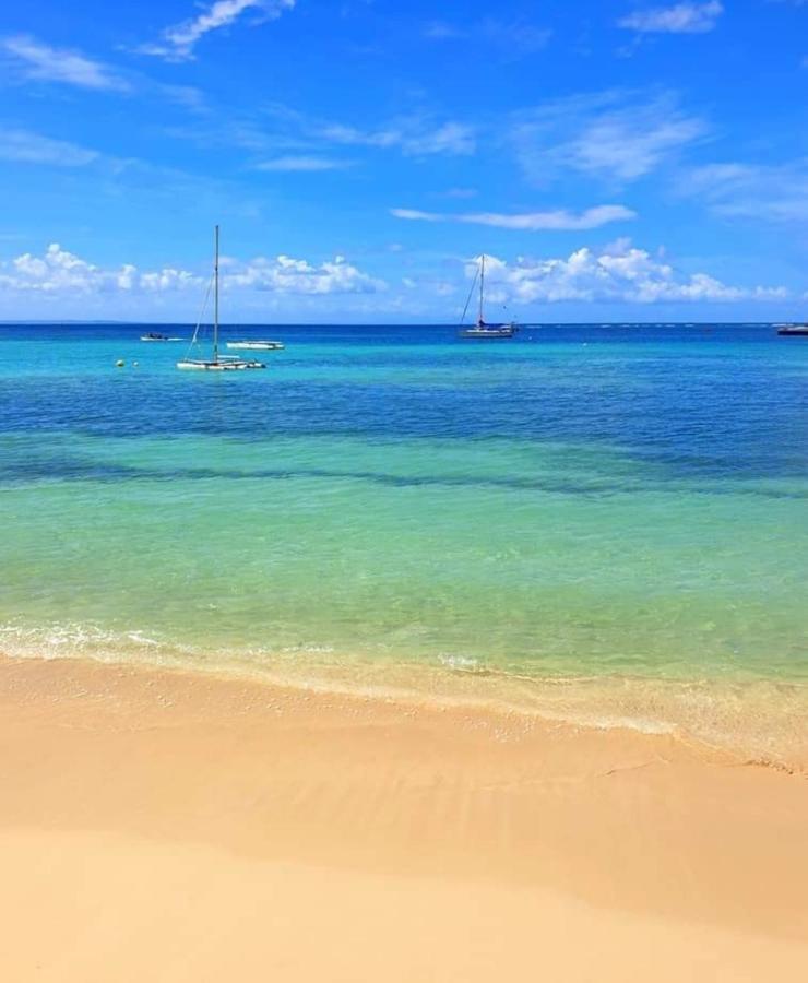 Gite 4 Etoiles, La Vieille Sucrerie St Claude Guadeloupe, Jacuzzi Spa Privatif, Vue Exceptionnelle Sur La Mer Des Caraibes 巴斯特尔 外观 照片