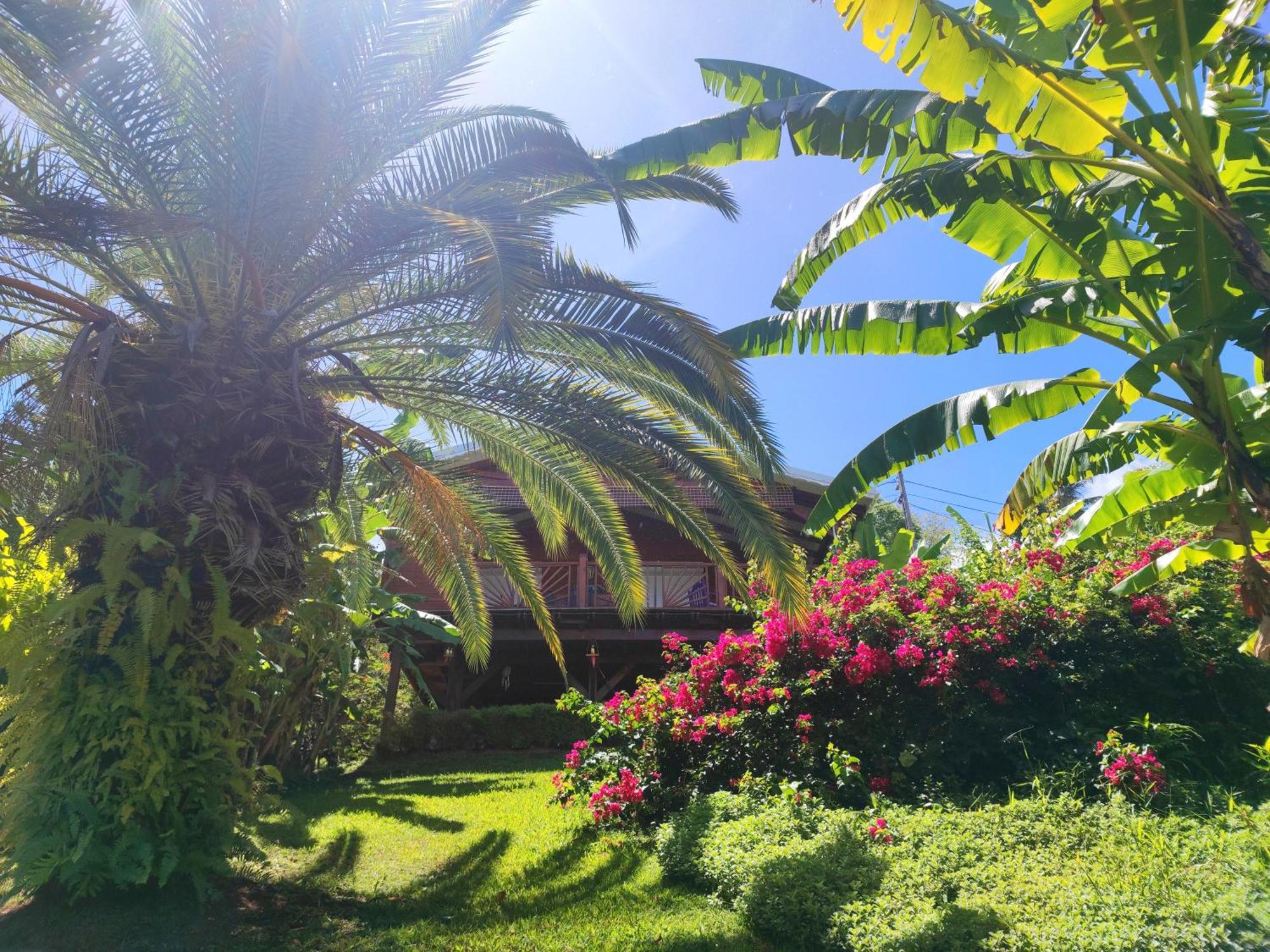 Gite 4 Etoiles, La Vieille Sucrerie St Claude Guadeloupe, Jacuzzi Spa Privatif, Vue Exceptionnelle Sur La Mer Des Caraibes 巴斯特尔 外观 照片