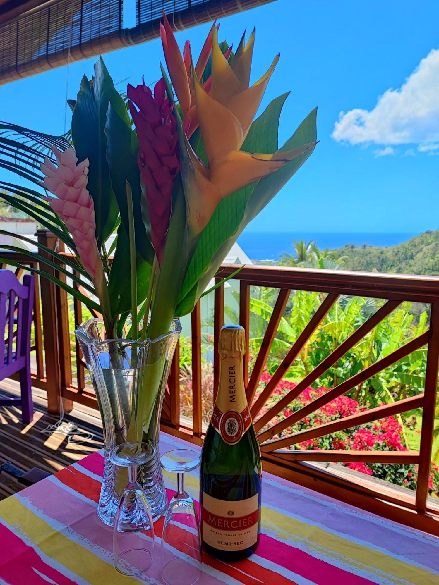 Gite 4 Etoiles, La Vieille Sucrerie St Claude Guadeloupe, Jacuzzi Spa Privatif, Vue Exceptionnelle Sur La Mer Des Caraibes 巴斯特尔 外观 照片